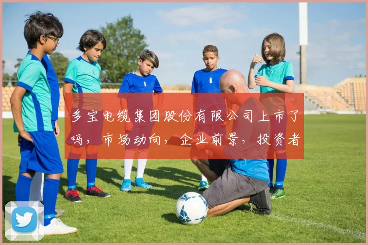 多宝电缆集团股份有限公司上市了吗，市场动向，企业前景，投资者关注三连发