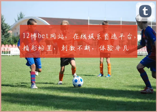 12博bet网站，在线娱乐首选平台，精彩纷呈，刺激不断，体验非凡